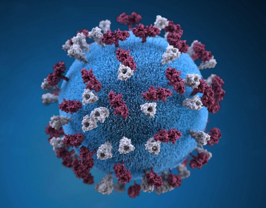 coronavirus-gestire-ansia-psicologo-padova