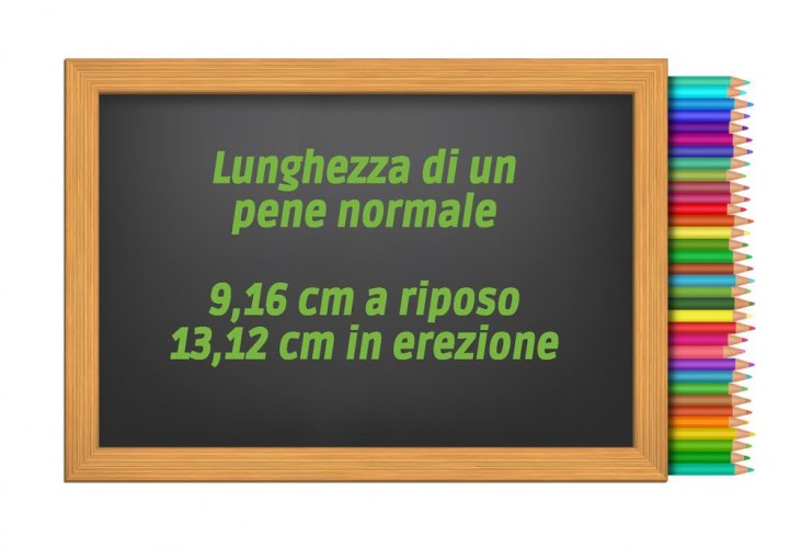 Dimensioni del pene, ora c'è uno standard condiviso - mnc.lt