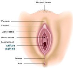 femminile: psicologia, benefici e tecniche | Dott.ssa Salomoni